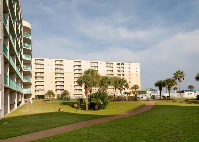 Plantation Palms 6610